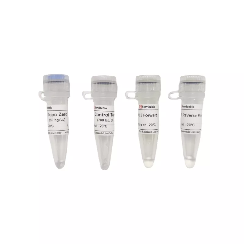 Servicebio pSWE-Topo Zero Cloning Kit