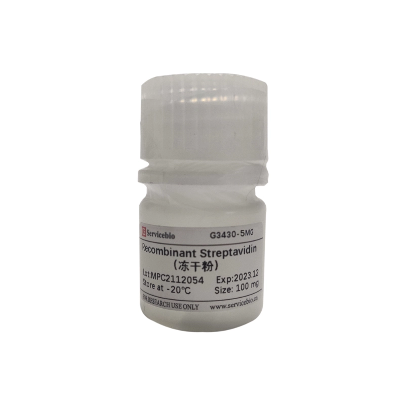 Servicebio Recombinant Streptavidin (Freeze-Dried Powder)