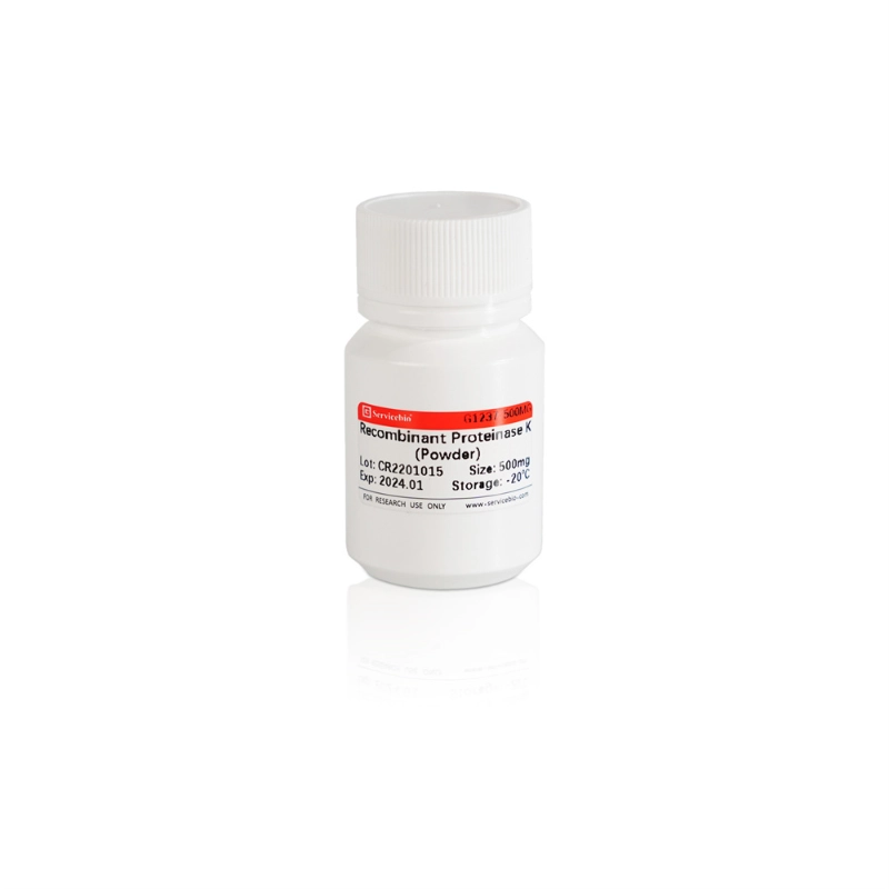 Servicebio Recombinant Proteinase K (Powder)