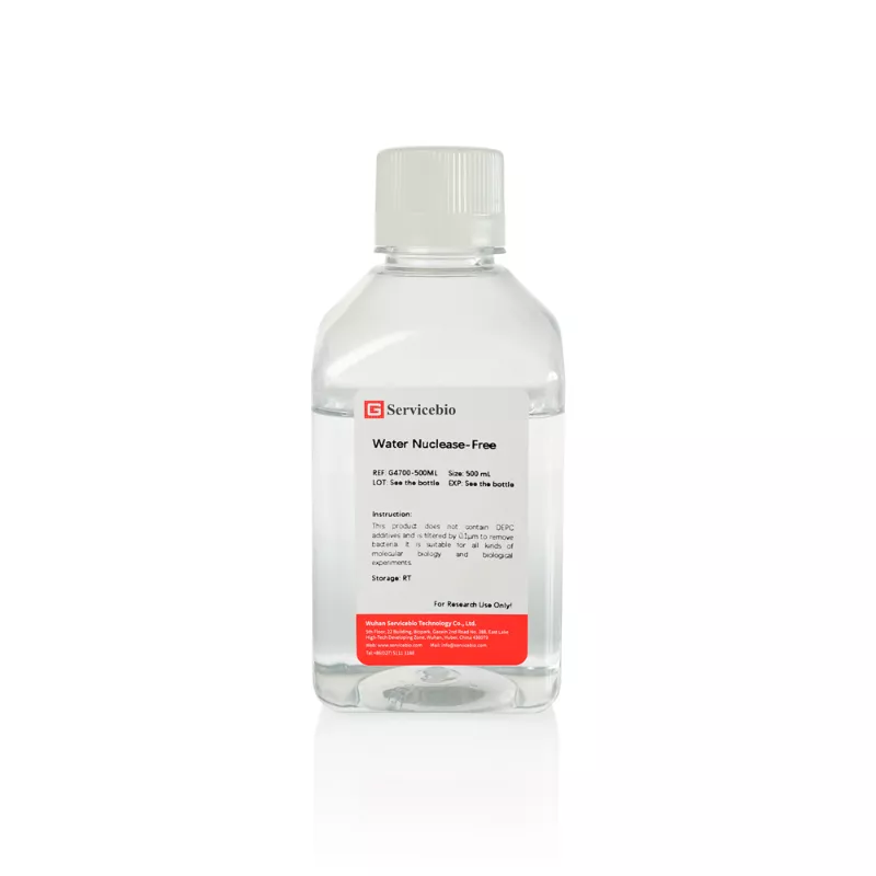 Servicebio Nuclease-Free Water