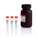 Servicebio BCA Protein Quantitative Detection Kit