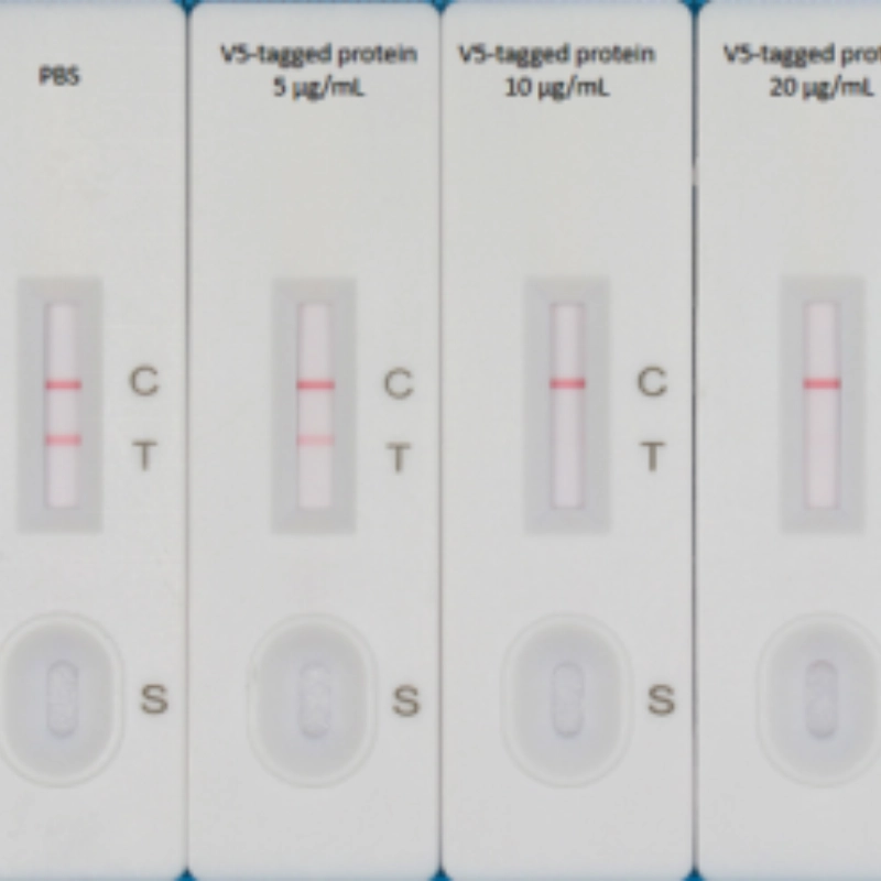 Servicebio V5-tag 快篩試劑