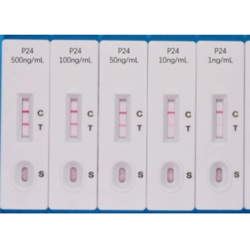 Servicebio 慢病毒快篩試劑 (Rapid Lentivirus Titration Cassette )