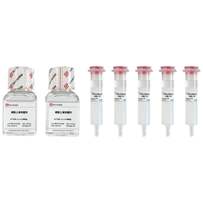 Servicebio Chromatographic Column for Separating Exosomes (Cell Supernatant)