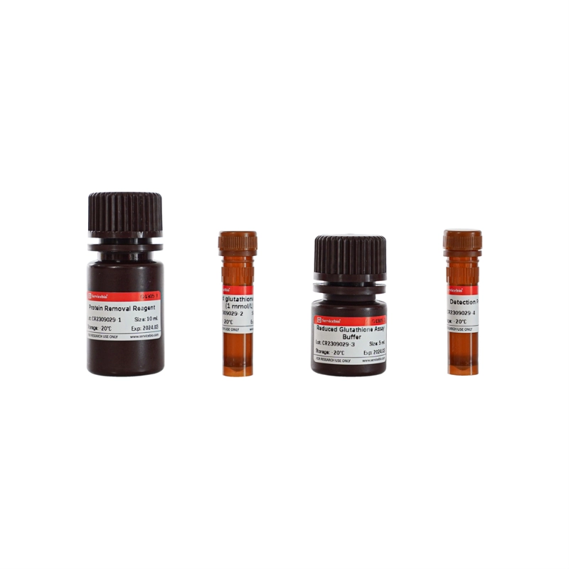 Servicebio Reduced Glutathione (GSH) Assay Kit