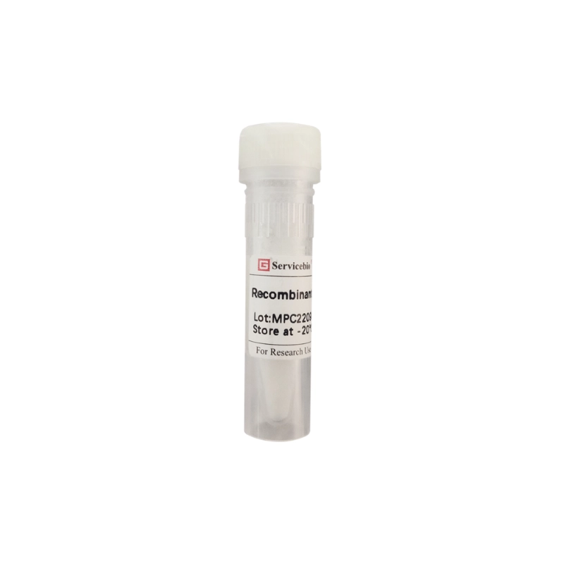 Servicebio Recombinant Trypsin（Powder）