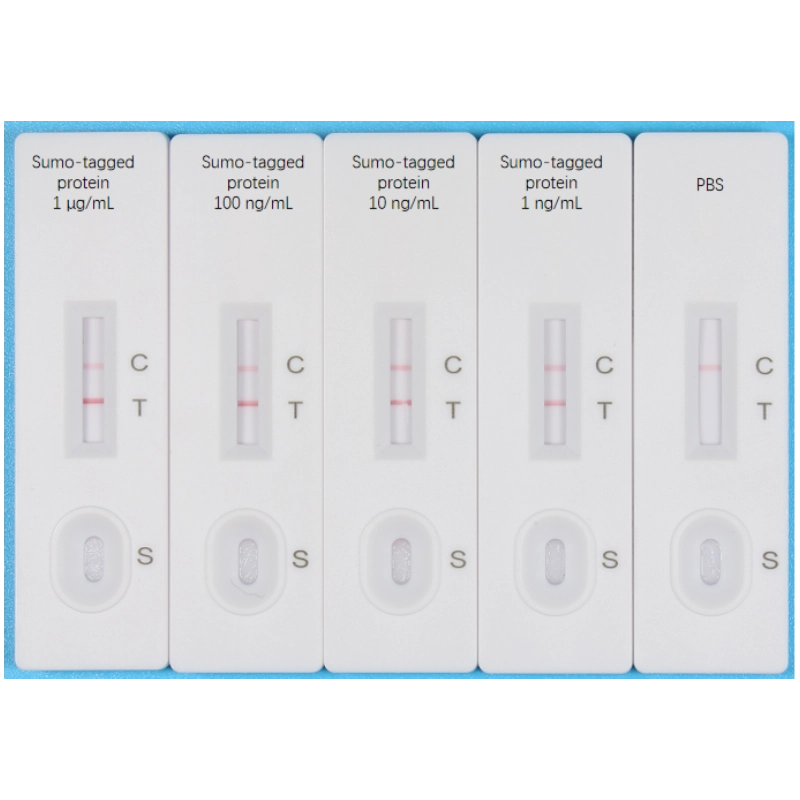 Servicebio Sumo-tag 快篩試劑