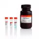 Servicebio BCA Protein Quantitative Detection Kit