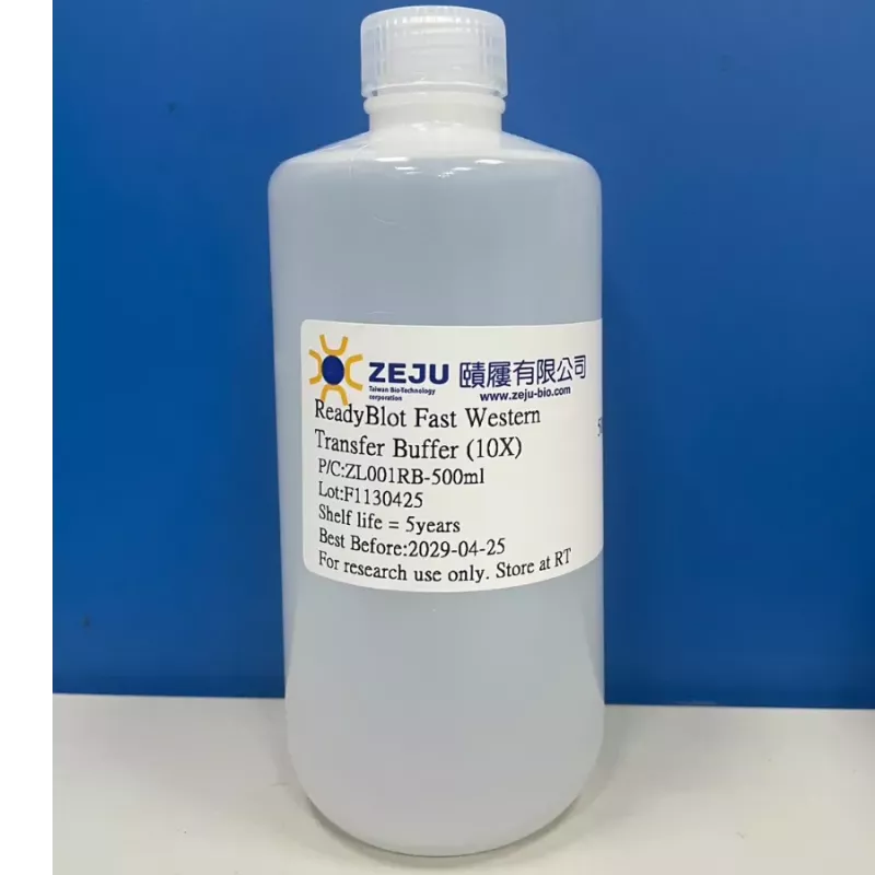 ZEJU 10X ReadyBlot Fast Western Transfer Buffer