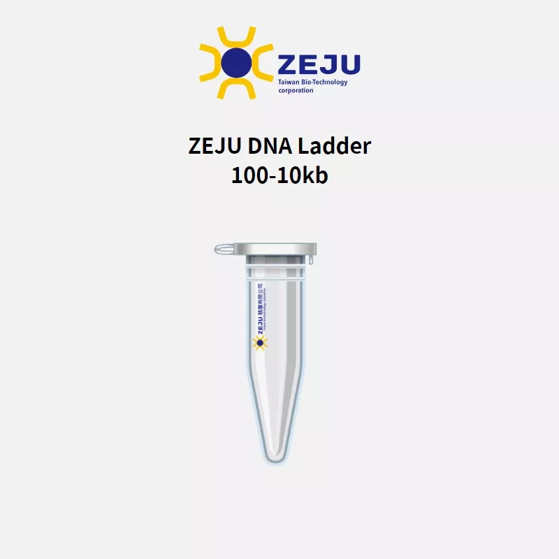 ZEJU DNA Ladder 100-10kb