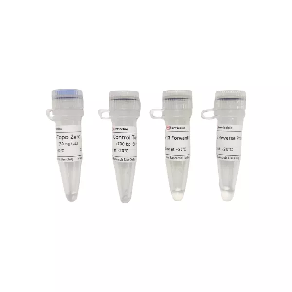 Servicebio pSWE-Topo Zero Cloning Kit