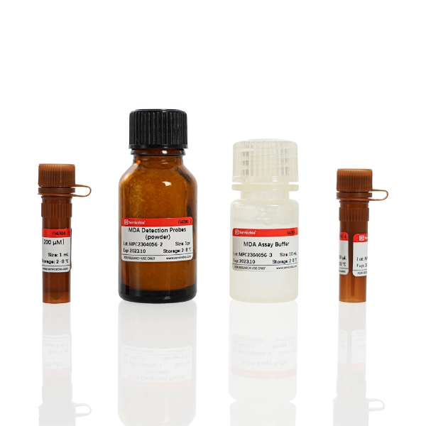 Servicebio Malondialdehyde (MDA) Assay Kit(for Cell samples