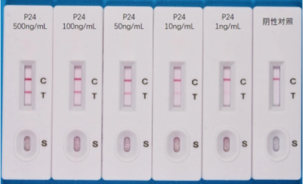 Servicebio 慢病毒快篩試劑 (Rapid Lentivirus Titration Cassette )