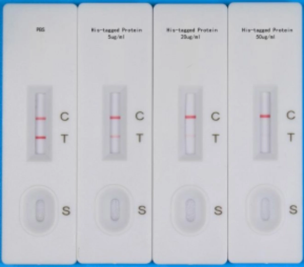 Servicebio His-tag 快篩試紙