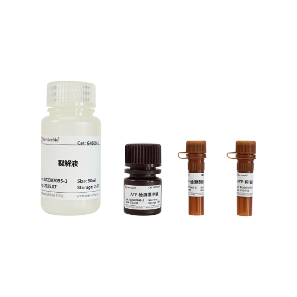 Servicebio ATP Assay Kit（ChemiLuminescence）